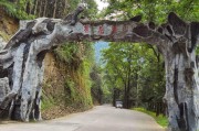 安化茶马古道,安化茶马古道风景区