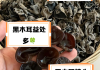 黑木耳减肥,木耳减肥一周瘦10斤