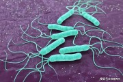 幽门螺杆菌感染有什么症状吃什么药感染幽门螺旋杆菌有什么症状