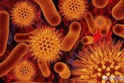 肠道里有那么多细菌，包括大肠杆菌，为什么没有引起疾病？