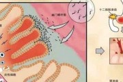 幽门螺旋杆菌的正常值范围c13的简单介绍