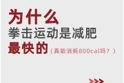 拳击减肥吗拳击减肥