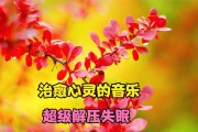 深度睡眠专业催眠曲音乐喜马拉雅深度睡眠专业催眠曲音乐