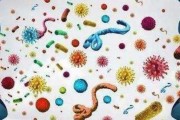 幽门螺旋杆菌吃什么药怎么吃幽门螺旋杆菌吃什么药可以根治