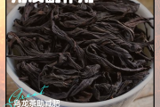 乌龙茶减肥法5天瘦7斤乌龙茶减肥