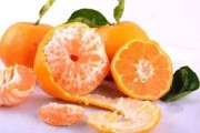 陈皮是哪种橘子,陈皮是哪种橘子的皮做成的