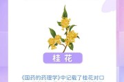 吃金银花一家六口丧命是真的吗,吃金银花一家六口丧命