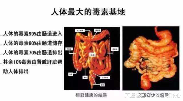 【肠道健康知识】 3.0吉悠片剂 对肠道有什么作用<strong>肠道</strong>？