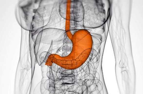 哪些原因会导致胃炎<strong>胃炎</strong>？胃炎患者饮食要注意什么？