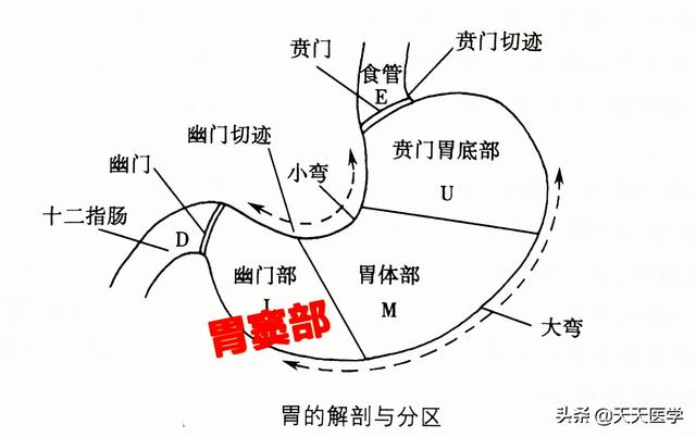 胃炎是什么原因引起的呢<strong>胃炎</strong>？