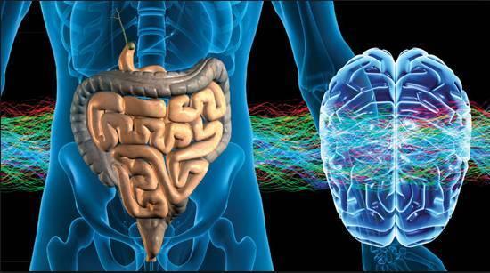 肠道微生物与人类健康有什么样的关系<strong>肠道</strong>？