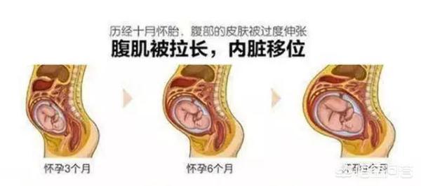 怀孕之后妈妈的内脏被挤到哪里去了<strong>肠道</strong>，会不会变小啊？