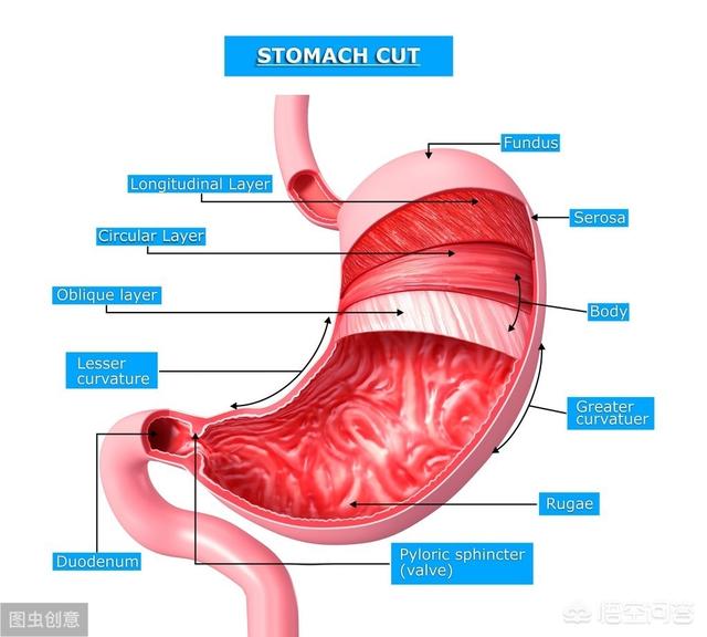 胃溃疡和胃糜烂哪个严重<strong>胃溃疡</strong>？