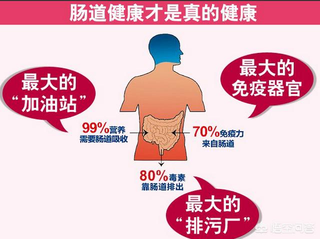 肠道健康会影响机体的健康吗<strong>肠道</strong>？