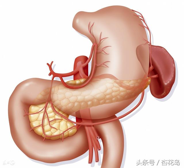 患有胃炎<strong>胃炎</strong>，经常胃不舒服，要注意什么？