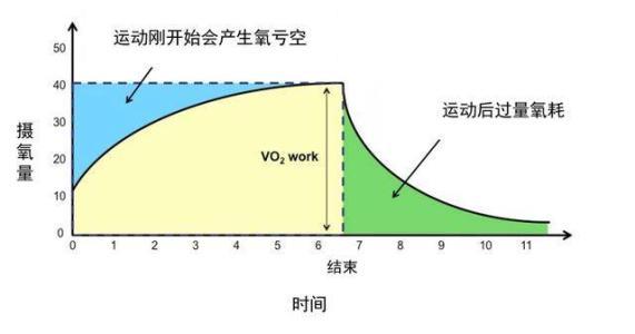 每天跳绳要多久才能减肥<strong>跳绳减肥</strong>？