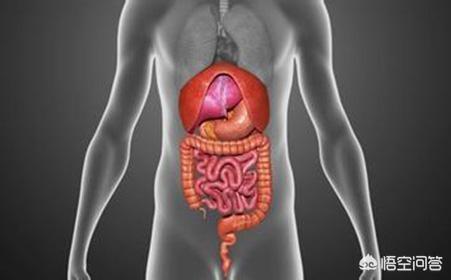 为什么胃和十二指肠溃疡这么常见<strong>十二指肠</strong>？