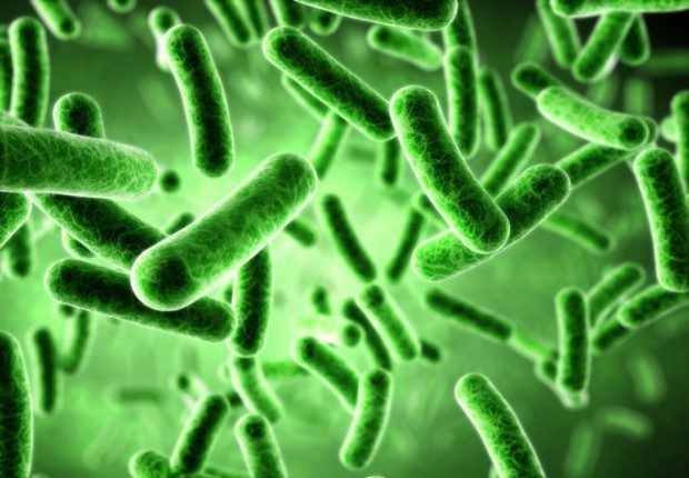 细菌也有大作用<strong>肠道</strong>，肠道微生物都身体有哪些影响呢？