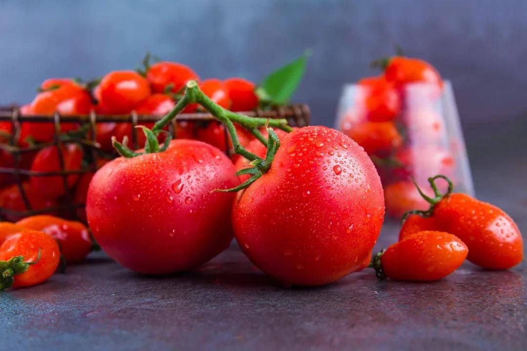 吃西红柿减肥不,吃西红柿减肥