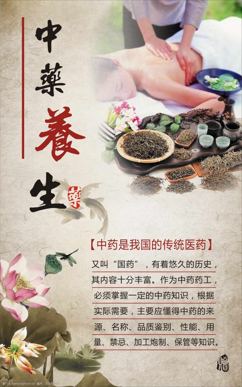 中药保健,中药保健品代加工厂家