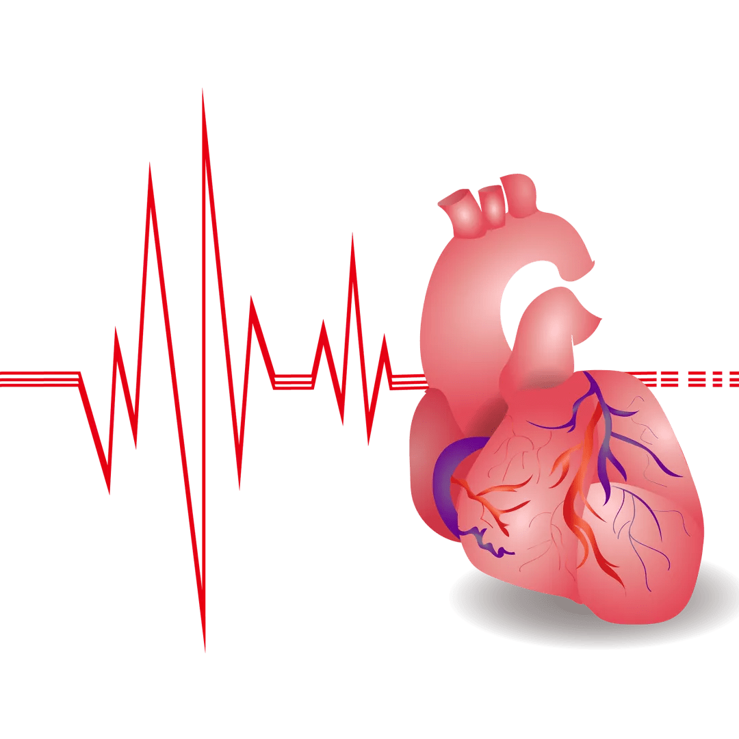 心脏做什么检查最准确心脏病有哪些症状