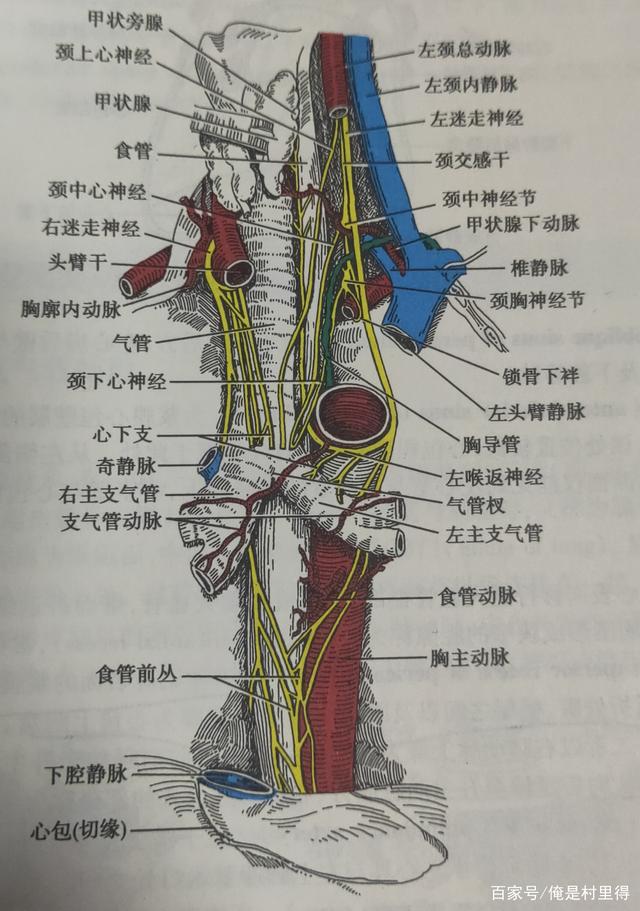 纵膈淋巴结增大如何判断是炎症还是肿瘤引起的,纵膈