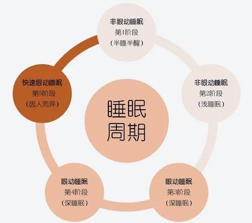 睡眠质量标准包括什么,睡眠质量标准包括