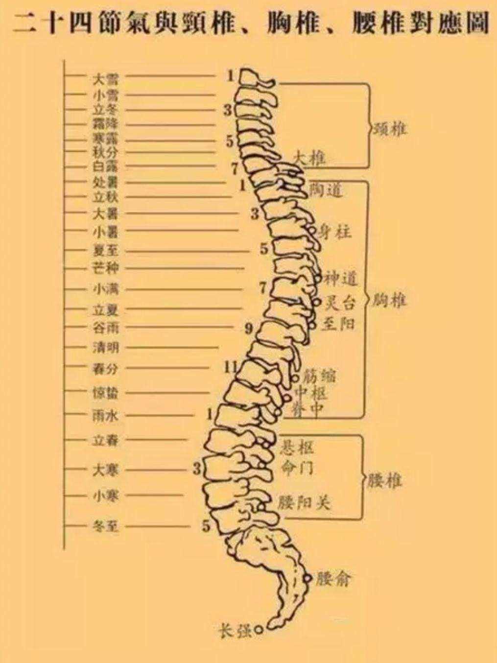 脊柱侧弯怎么矫正脊柱