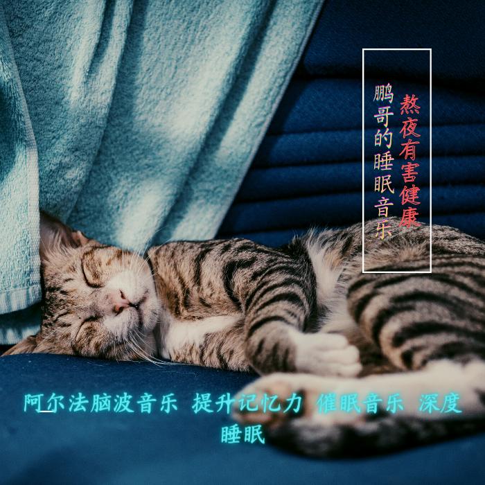 睡眠音乐100首,睡眠音乐舒眠