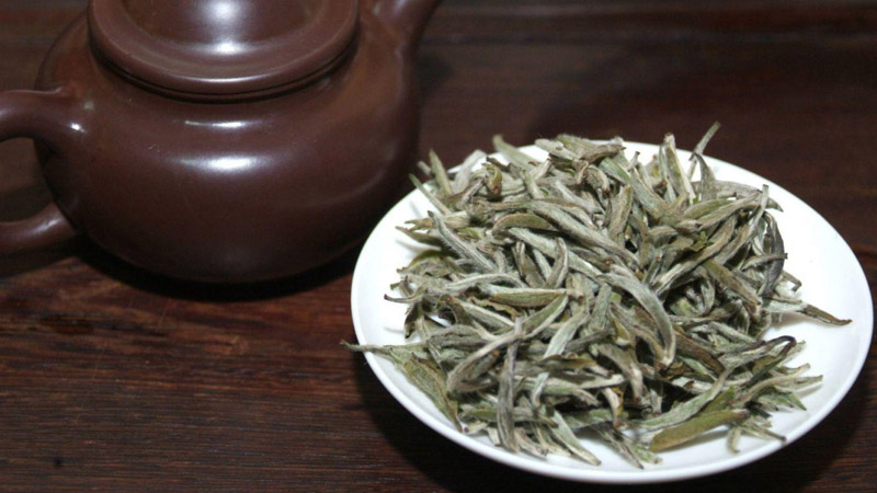 白茶是红茶还是绿茶白茶是什么茶