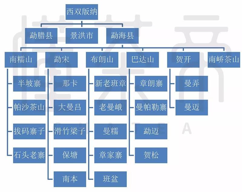 普洱茶产地小户赛古树普洱茶产地