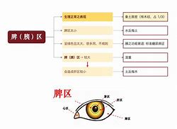 倪海厦的生辰八字,倪海厦的生辰八字是什么