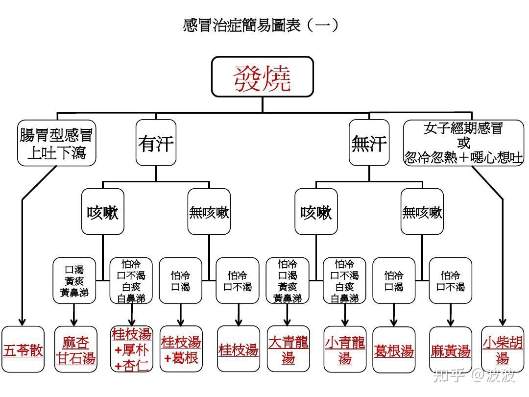 倪海厦经方经验总结大全100方上养阳医斋,倪海厦推荐的大陆经方家