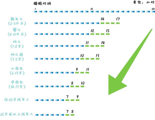 睡眠阶段有哪些梦境出现在哪个阶段睡眠的阶段有