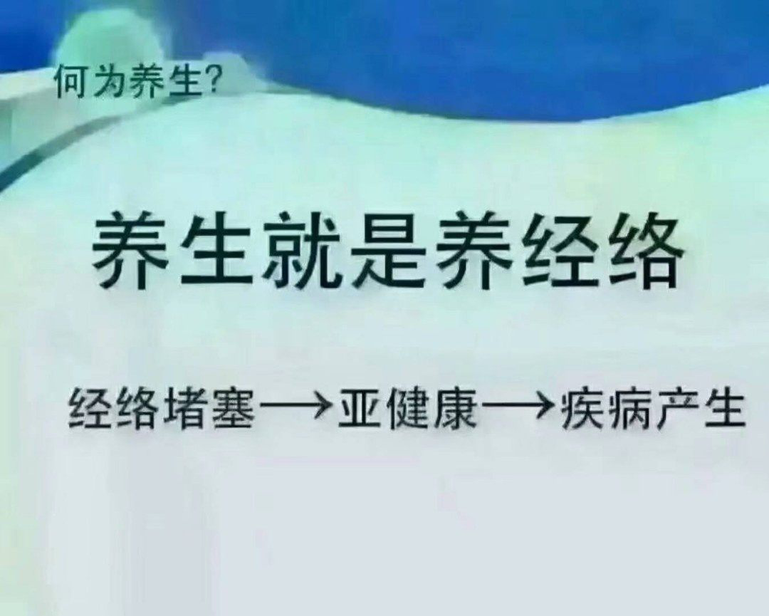 经络养生运动操视频经络养生运动