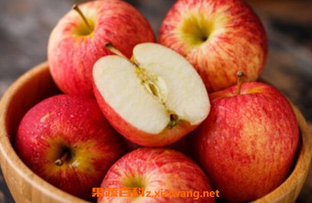苹果减肥方法苹果减肥方法一天吃几次