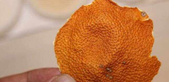 橘子皮和陈皮一样吗自己凉的橘子皮和陈皮一样吗
