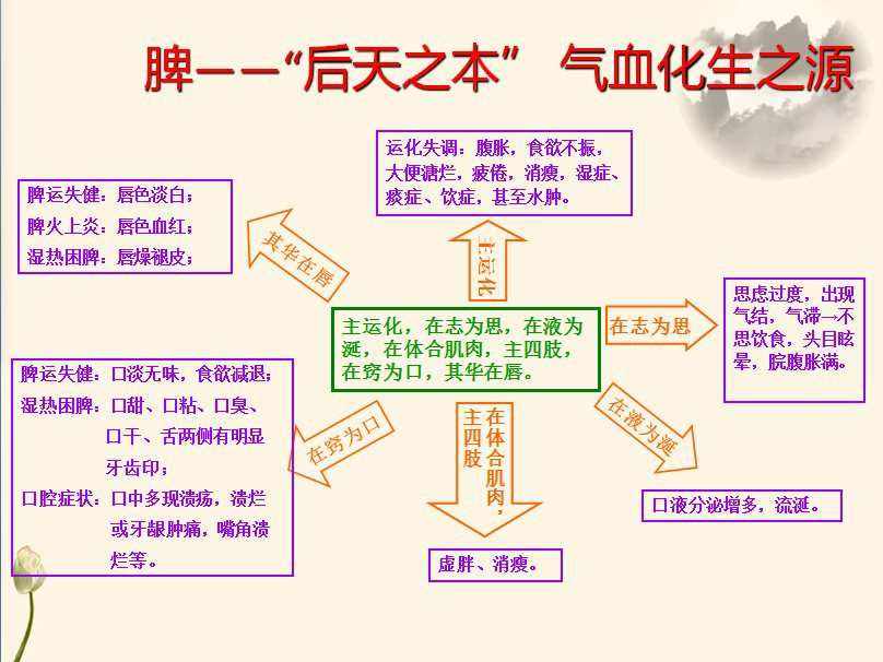 多梦但不失眠怎么调理,多梦但不失眠怎么调理最好的治疗方法