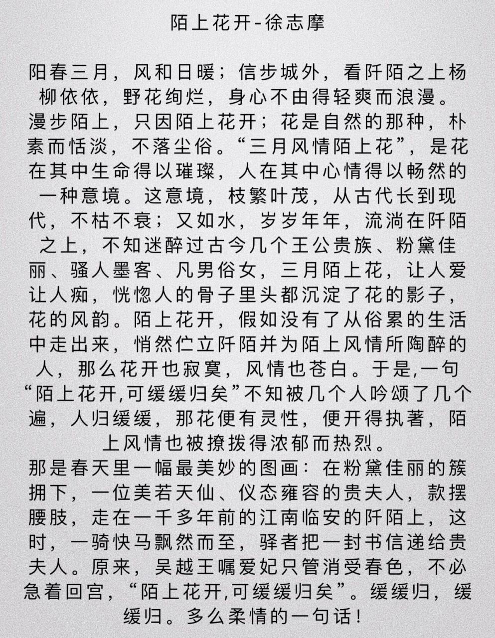 金银花露深不可测阅读的简单介绍