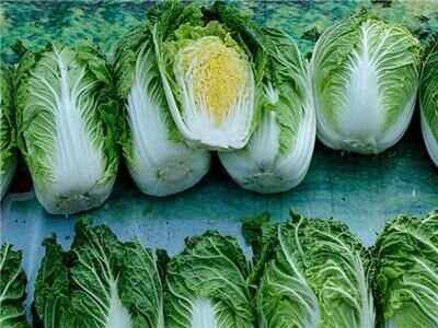 含甲醛的白菜怎么看甲醛白菜是什么