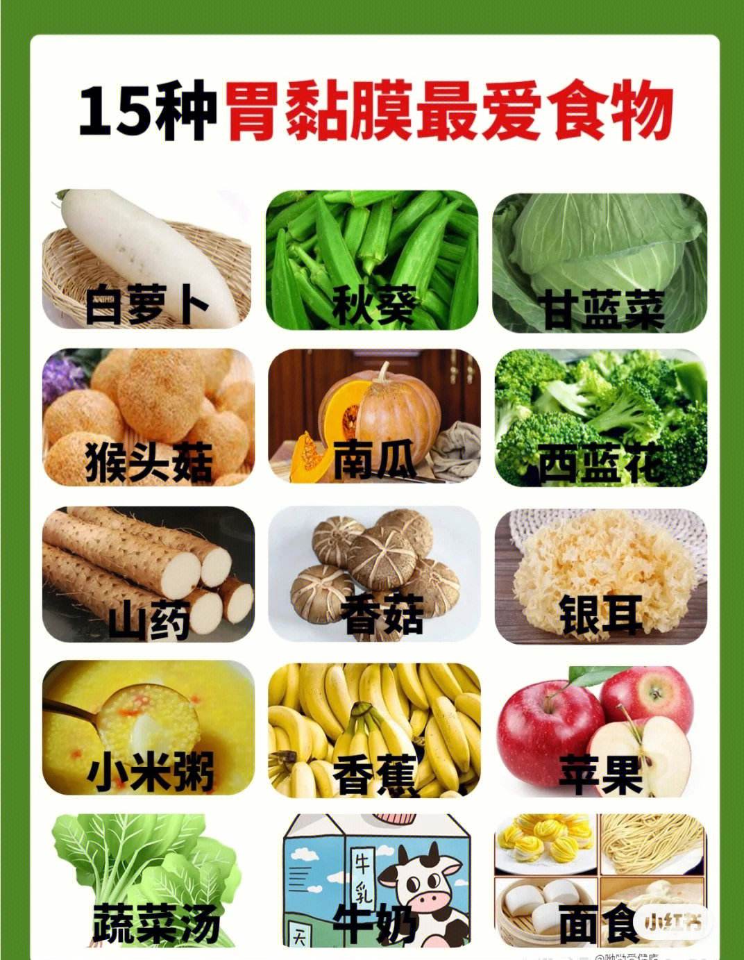 什么食物养胃又好吃,哪些食物养胃最好