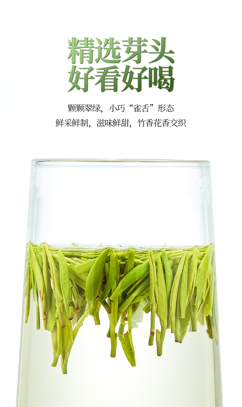 雀舌茶,雀舌茶的功效与禁忌