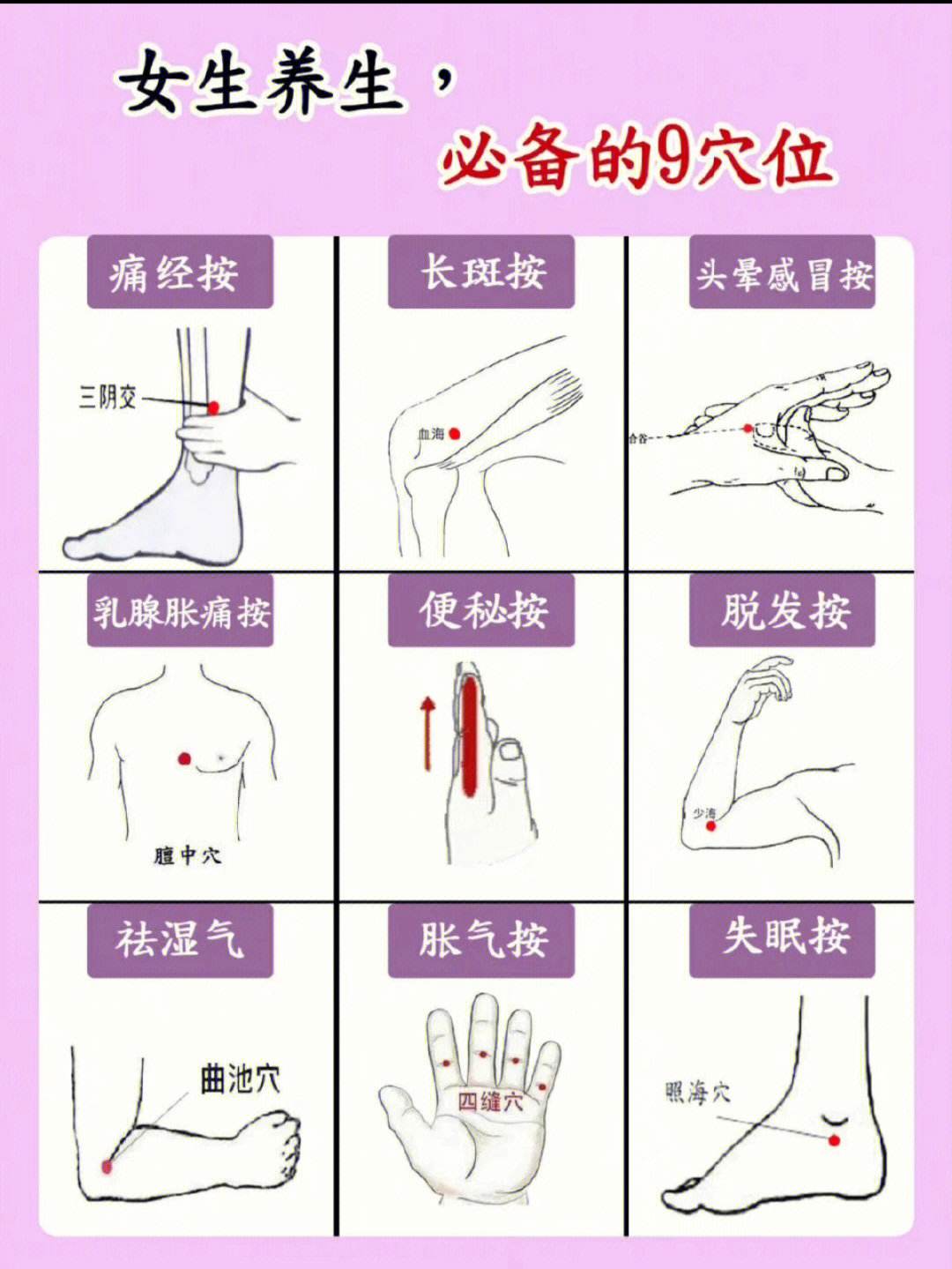 全身经络图十二经络动图穴位养生