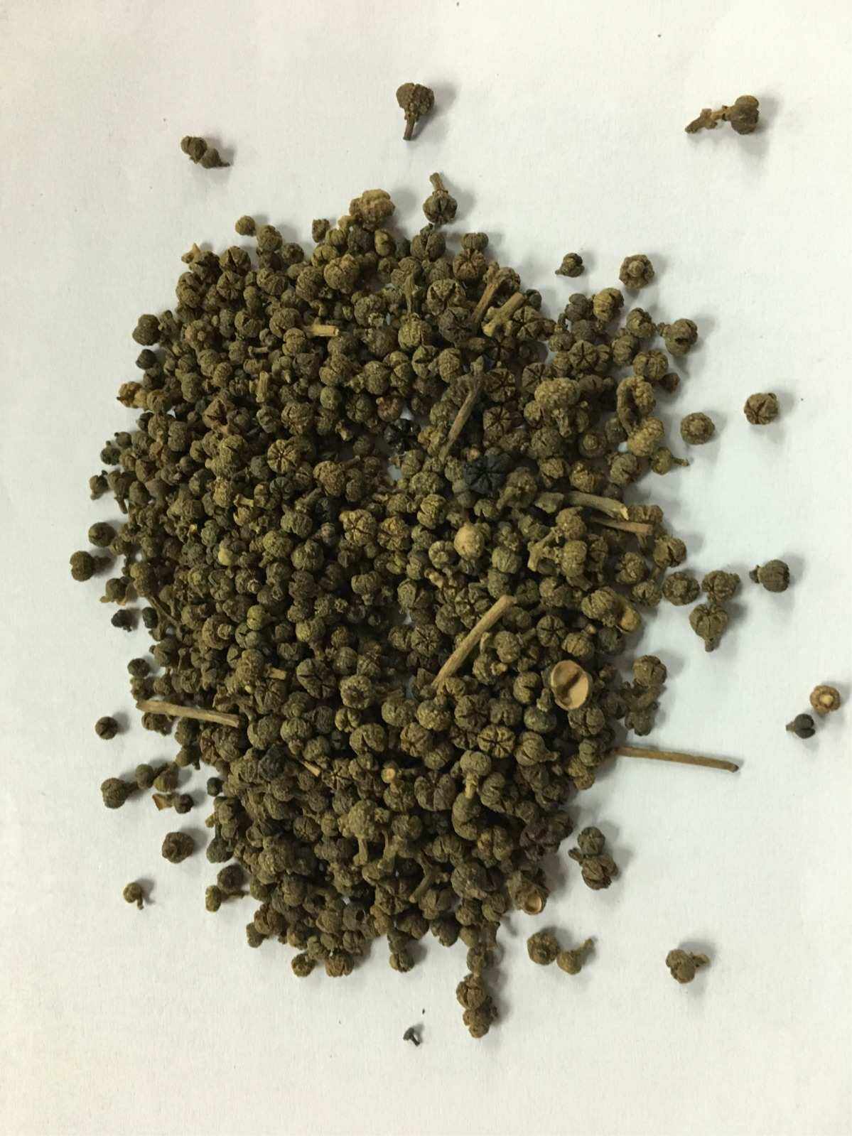 制吴茱萸制吴茱萸的功效与作用主要治什么病