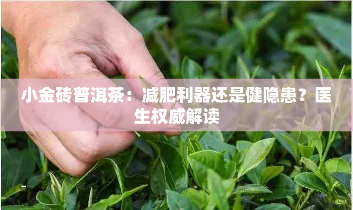 可以减肥的茶可以减肥的茶排行榜前十名