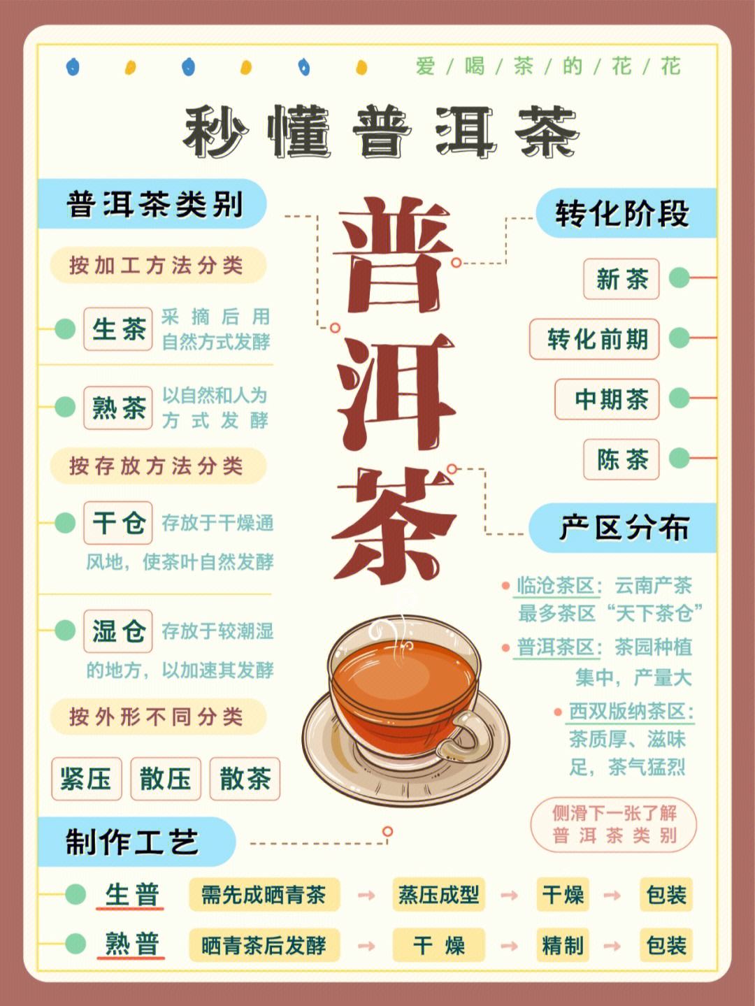 普洱茶知识百科,普洱茶知识