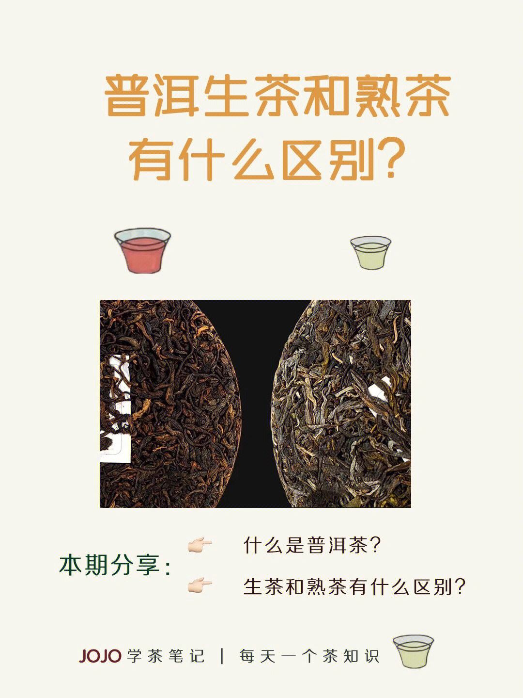 普洱茶生茶和熟茶哪个好普洱茶生茶和熟茶有什么区别