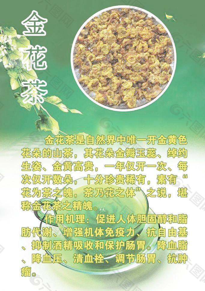 金银花的功效与作用及禁忌,蒲公英和金银花的功效与作用及禁忌