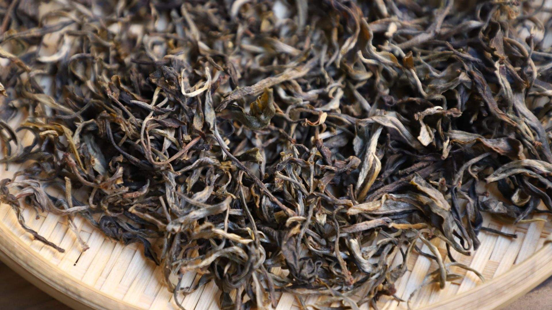 普洱茶生茶和熟茶哪个好,普洱茶生茶