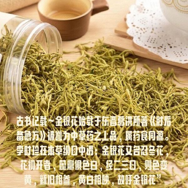 金银花的功效与作用泡水喝的功效菊花茶桔元金银花的功效与作用泡水喝的功效菊花茶